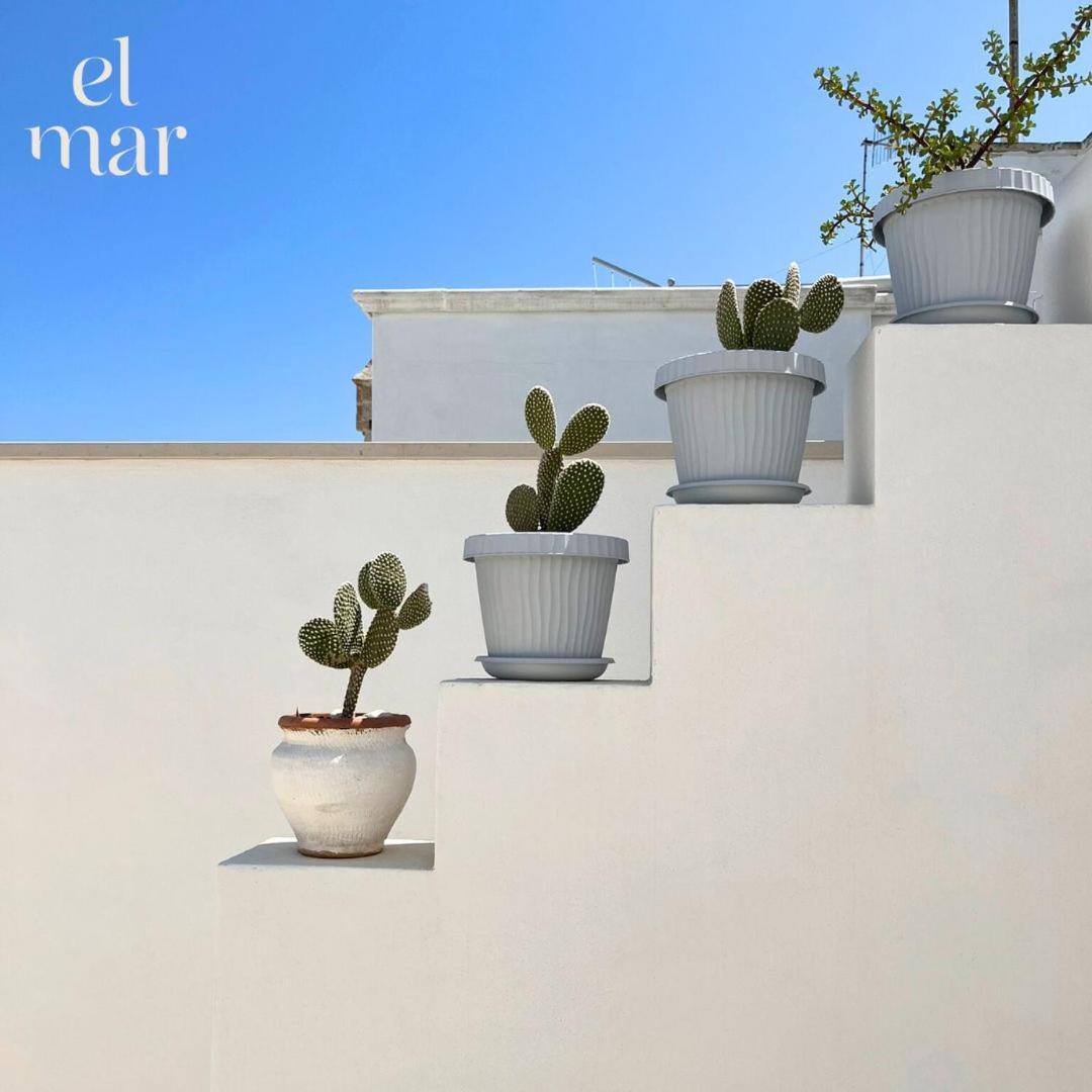 El-Mar Locazione Turistica House With Exclusive Terrace Apartment Полиняно а Маре Екстериор снимка