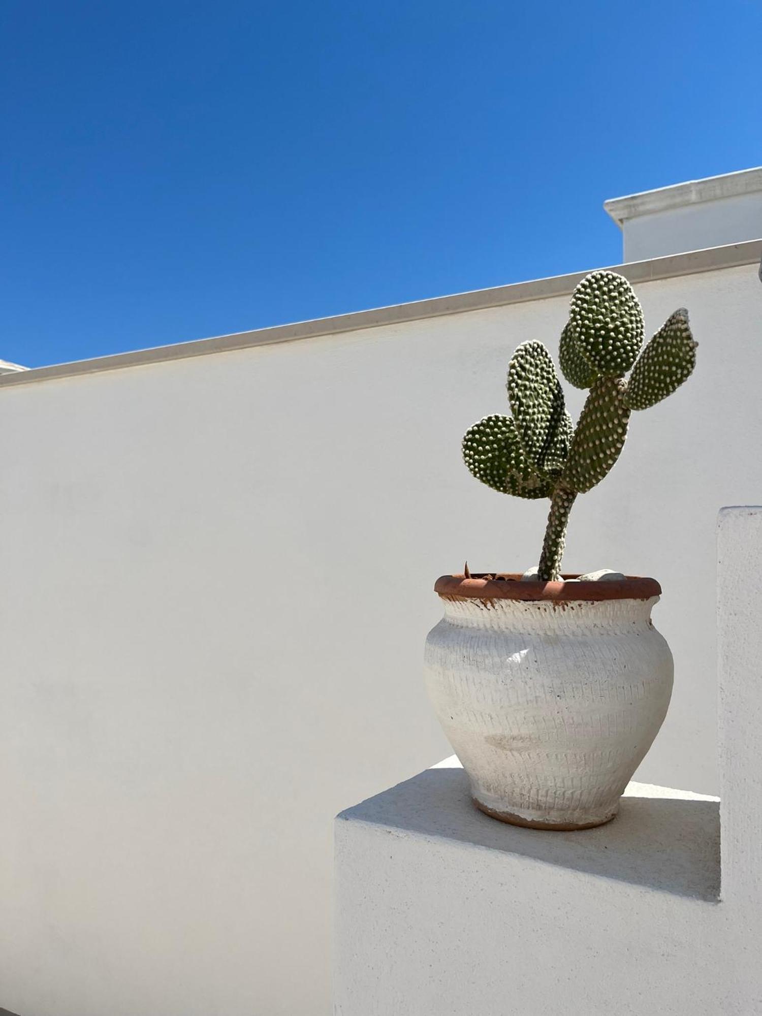 El-Mar Locazione Turistica House With Exclusive Terrace Apartment Полиняно а Маре Екстериор снимка