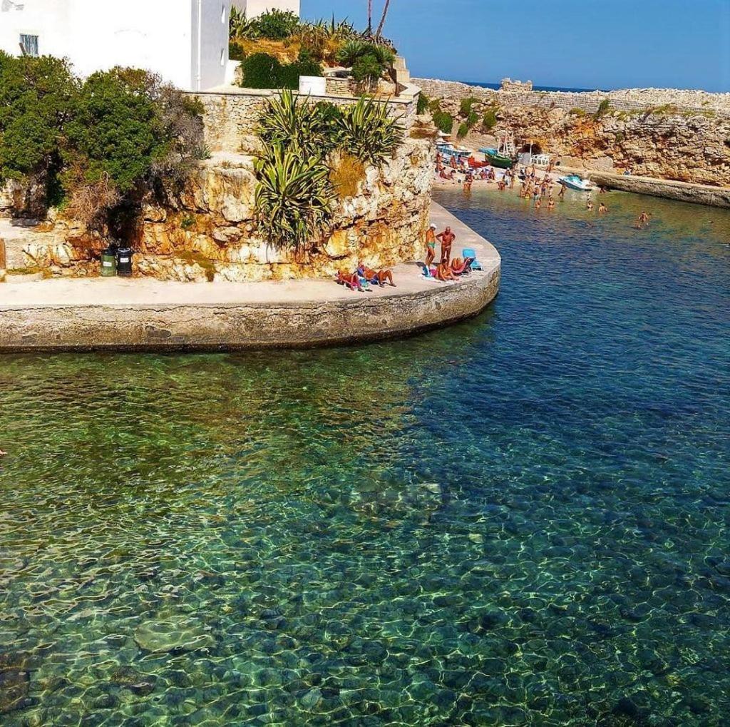 El-Mar Locazione Turistica House With Exclusive Terrace Apartment Полиняно а Маре Екстериор снимка