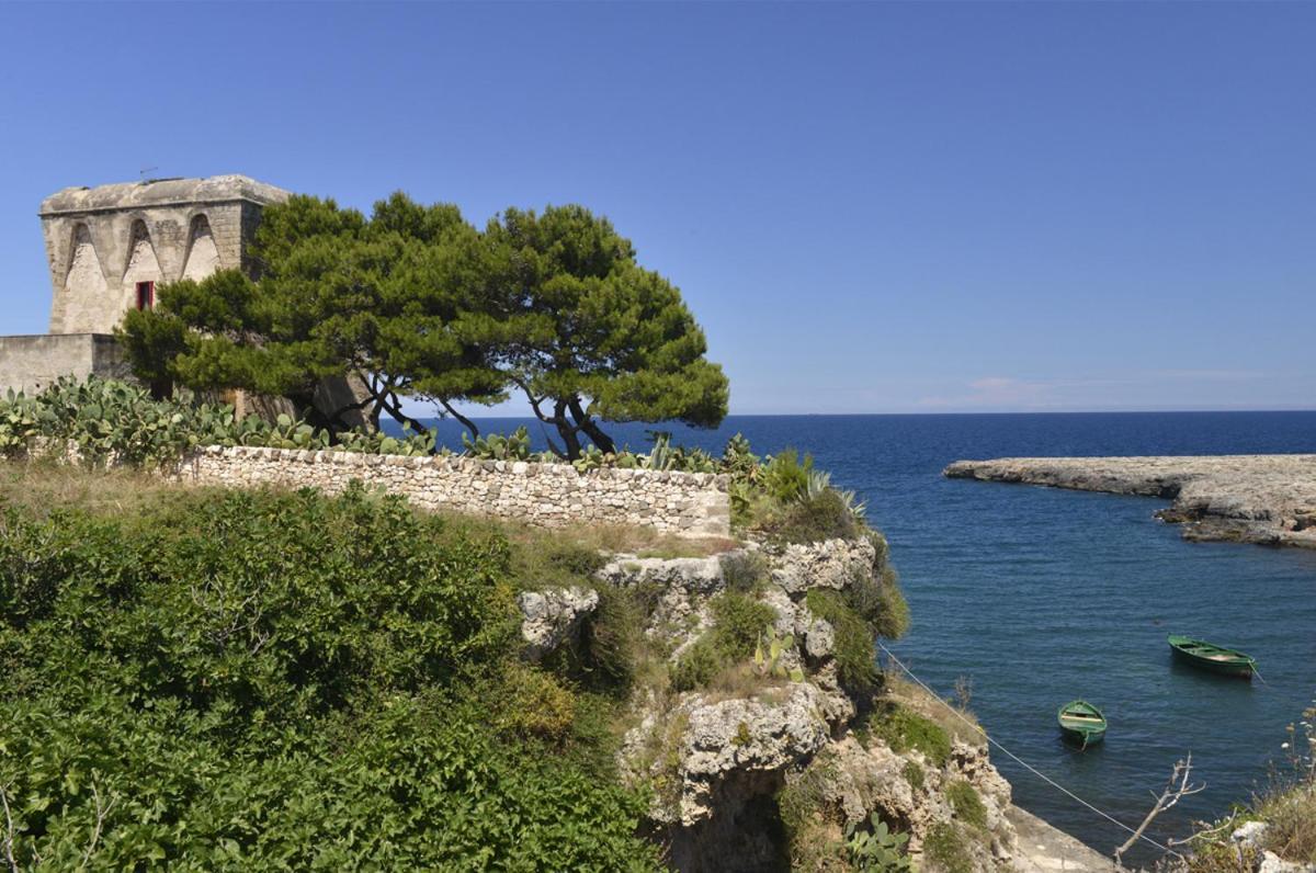 El-Mar Locazione Turistica House With Exclusive Terrace Apartment Полиняно а Маре Екстериор снимка