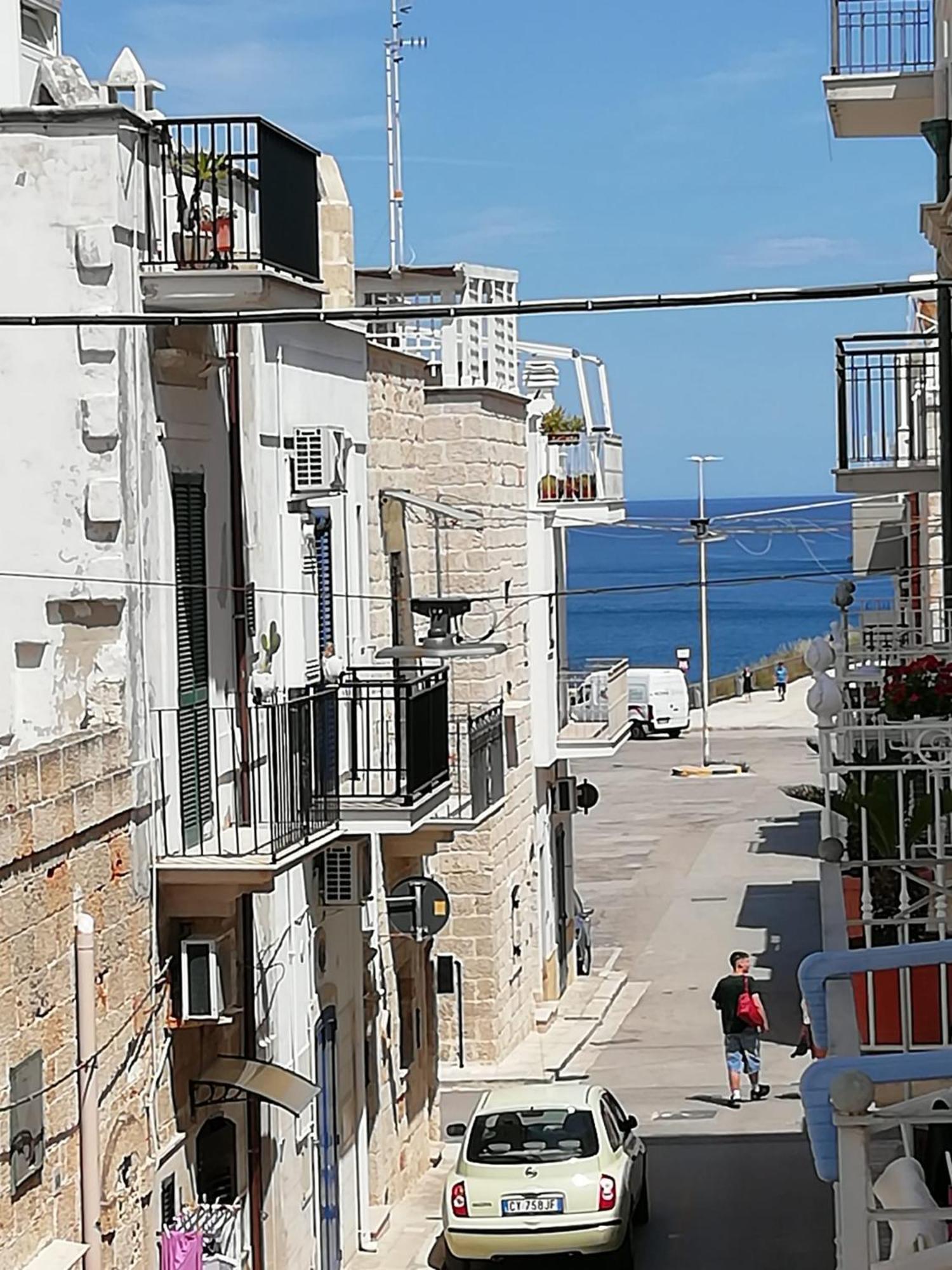 El-Mar Locazione Turistica House With Exclusive Terrace Apartment Полиняно а Маре Екстериор снимка